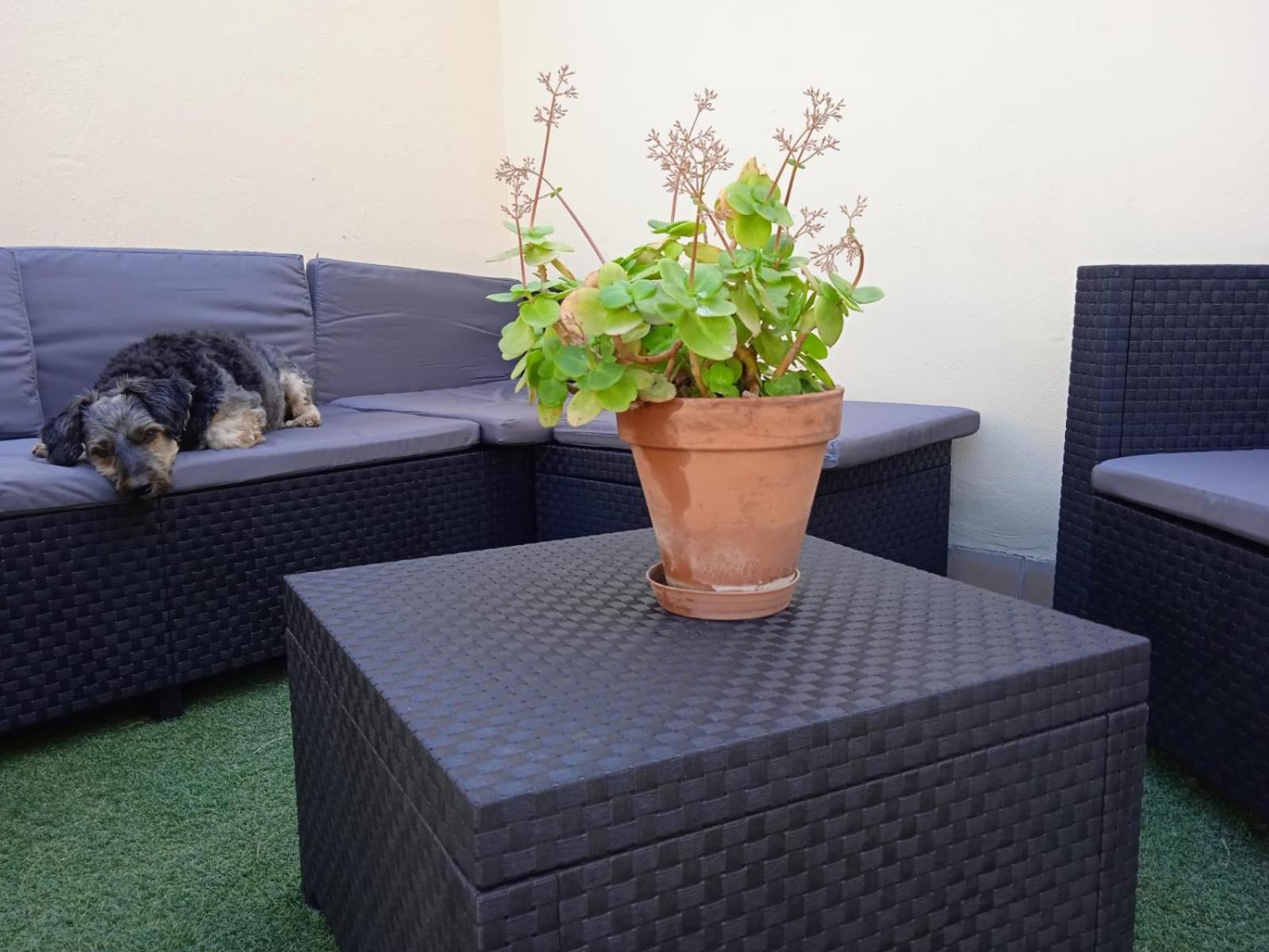 Livingtarifa Apartamento Nano ภายนอก รูปภาพ